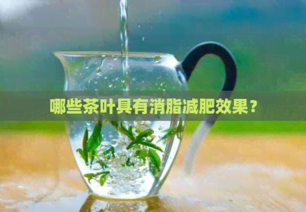 哪些茶葉具有消脂減肥效果？
