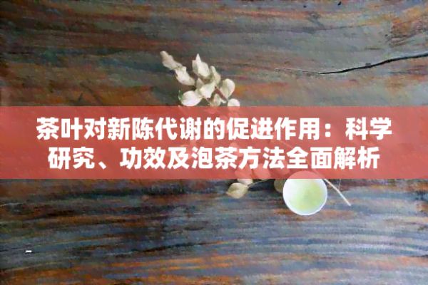 茶葉對新陳代謝的促進(jìn)作用：科學(xué)研究、功效及泡茶方法全面解析