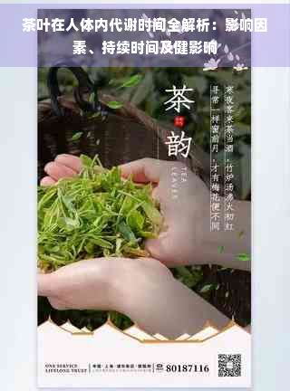 茶葉在人體內(nèi)代謝時間全解析：影響因素、持續(xù)時間及健影響