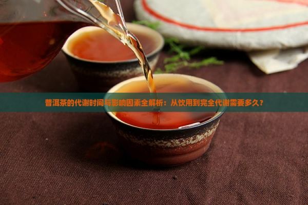 普洱茶的代謝時間與影響因素全解析：從飲用到完全代謝需要多久？