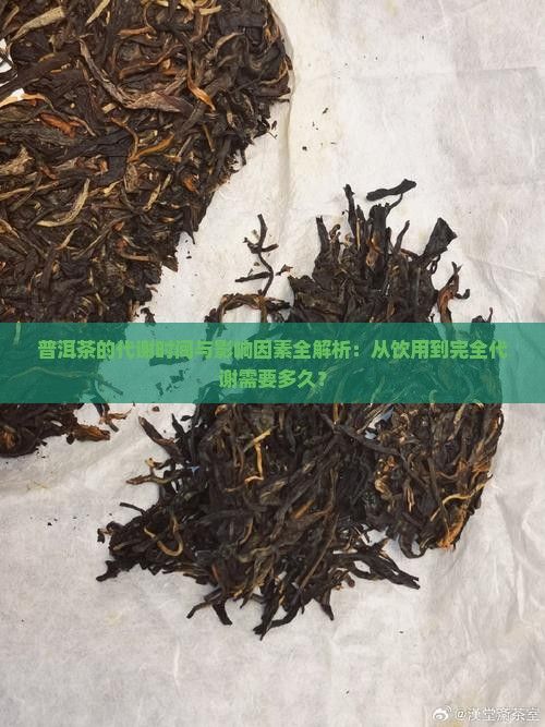 普洱茶的代謝時間與影響因素全解析：從飲用到完全代謝需要多久？