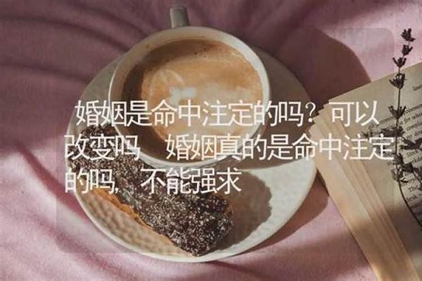 名人結婚時間八字