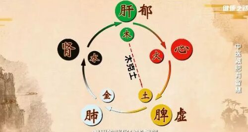 20190301健康之路视频笔记:王少军《中医减肥有智慧》