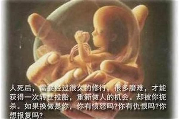 婚姻大事怎么做决定