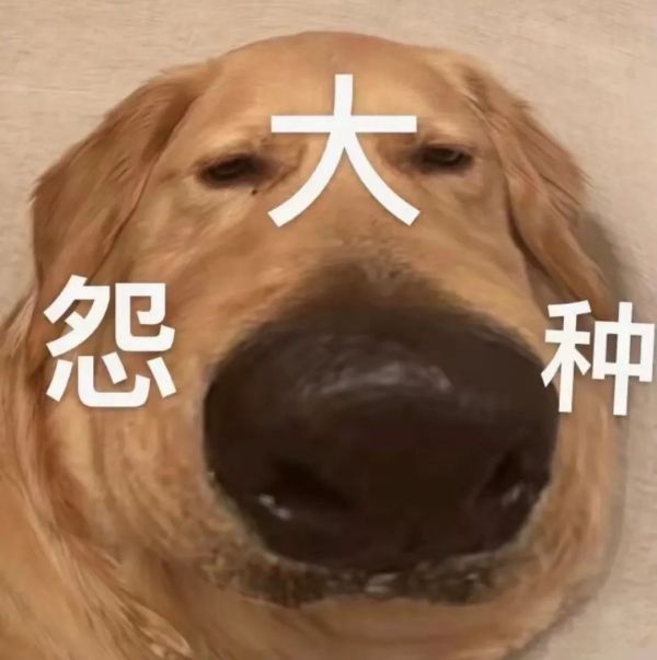 73931645225226748
