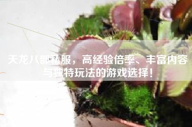 天龍八部私服，高經(jīng)驗(yàn)倍率、豐富內(nèi)容與獨(dú)特玩法的游戲選擇！