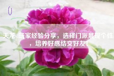 天龍sf，玩家經(jīng)驗(yàn)分享，選擇門派展現(xiàn)個(gè)性，培養(yǎng)好感結(jié)交好友！