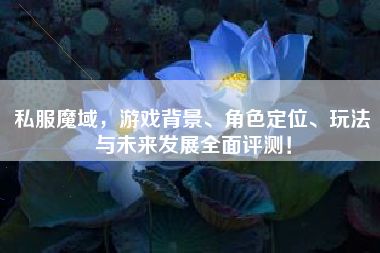 私服魔域，游戲背景、角色定位、玩法與未來發(fā)展全面評測！