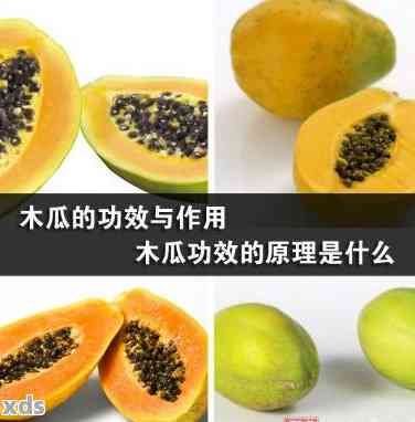 龍眼和木瓜可以一起吃嗎，龍眼與木瓜能同食嗎？探討這兩種水果的飲食搭配禁忌
