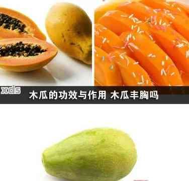 龍眼和木瓜可以一起吃嗎，龍眼與木瓜能同食嗎？探討這兩種水果的飲食搭配禁忌