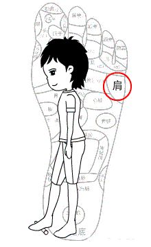 脾胃不好，肝经不通，一根擀面杖，就可解决