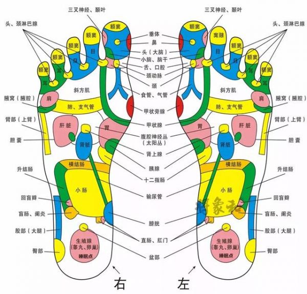 脾胃不好，肝经不通，一根擀面杖，就可解决