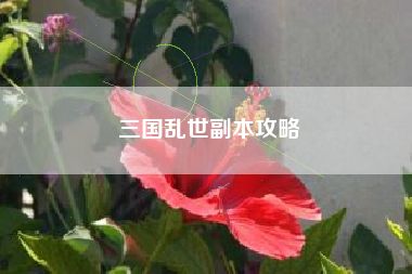 三国乱世副本攻略