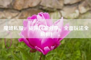 魔域私服，資深玩家分享，全面玩法全解析！