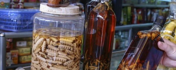 哪些酒適合中年男性喝 中年男性適合喝什么藥酒 中年男性喝哪些酒有益強(qiáng)身