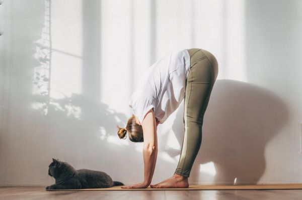 young attractive smiling woman practicing yoga, stretching in scorpion exercise, variation of vrischikasana pose, working out, wearing sportswear, grey pants, bra, indoor full length, home interior