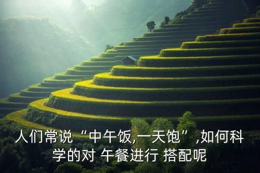 人們常說“中午飯,一天飽”,如何科學(xué)的對 午餐進(jìn)行 搭配呢