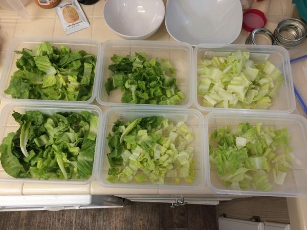 純奶手撕吐司的做法 步驟1