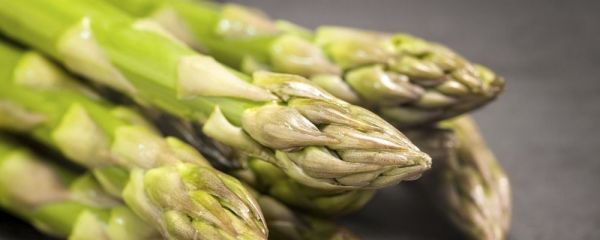 排毒饮品 排毒喝什么 芦笋番茄牛奶排毒