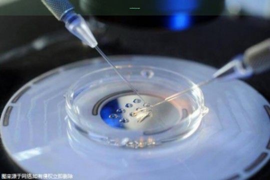 〖最有營養(yǎng)的水果,世界公認十大營養(yǎng)健康水果〗