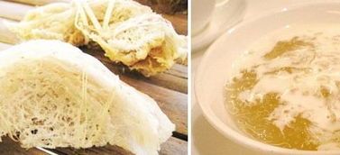 即食禧燕燕窩：營養(yǎng)滋補，方便快捷，全方位滿足您的健康需求
