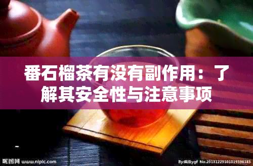 番石榴茶有沒有副作用：了解其安全性與注意事項