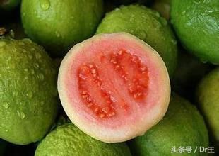 番石榴葉不但是脫發(fā)救星，癌細(xì)胞、膽固醇都不是它的對手！