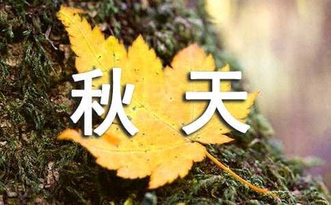 秋天的景色初二優(yōu)秀作文（通用33篇）