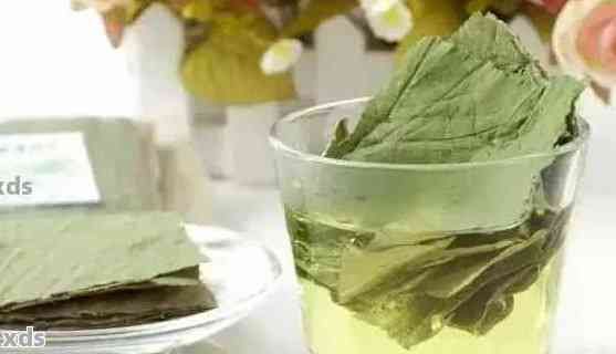 '荷葉普洱茶：減肥良方還是無用功？揭秘其真實效果和副作用'