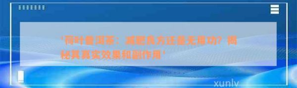 '荷葉普洱茶：減肥良方還是無用功？揭秘其真實效果和副作用'