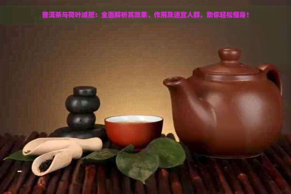 普洱茶與荷葉減肥：全面解析其效果、作用及適宜人群，助你輕松瘦身！