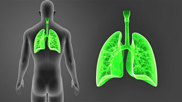 肺癌癥病人死前五個(gè)階段