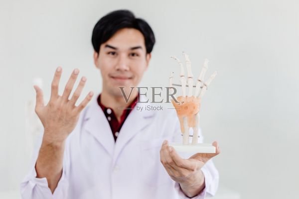 醫(yī)師用手掌模型展示手部肌肉系統(tǒng)、肌腱、韌帶的解剖。照片攝影圖片