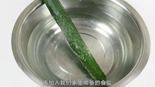 黃瓜好吃但是不好保存？教你一招，黃瓜保存15天依舊新鮮