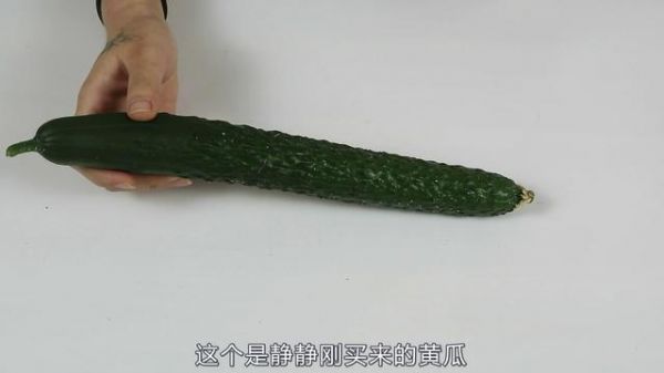黃瓜好吃但是不好保存？教你一招，黃瓜保存15天依舊新鮮