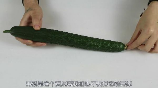 黃瓜好吃但是不好保存？教你一招，黃瓜保存15天依舊新鮮