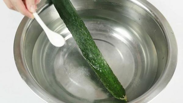 黃瓜好吃但是不好保存？教你一招，黃瓜保存15天依舊新鮮