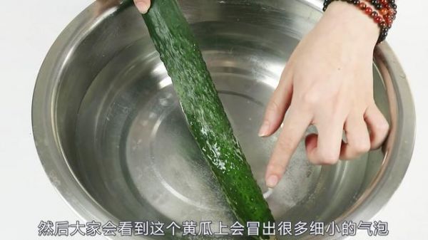 黃瓜好吃但是不好保存？教你一招，黃瓜保存15天依舊新鮮