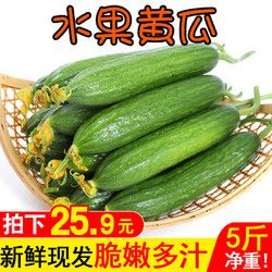 黃瓜新鮮水果小黃瓜十青瓜5斤荷蘭蔬菜山東孕婦農(nóng)家生吃現(xiàn)貨包郵
