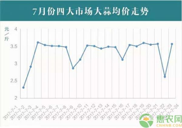 4大市场7月以来的大蒜<a href='https://www.cnhnb.com/t/9671.html' class='j-href' target='_blank'>价格走势图</a>