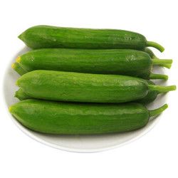 綠鮮知 荷蘭黃瓜 小青瓜 水果黃瓜 小黃瓜 約600g 生吃沙拉 產(chǎn)地直供 新鮮蔬菜 *10件