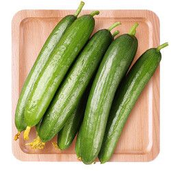 產(chǎn)地直發(fā)包郵 山東壽光菜 水果小黃瓜 荷蘭黃瓜 5斤 新鮮蔬菜