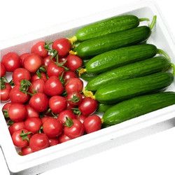果萌芽 京地達(dá)小黃瓜圣女果組合凈重5斤現(xiàn)摘現(xiàn)發(fā)健康輕食 源頭直發(fā)