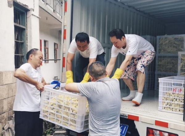 駐村工作隊(duì)將黃瓜送上采購(gòu)車。方文艷攝