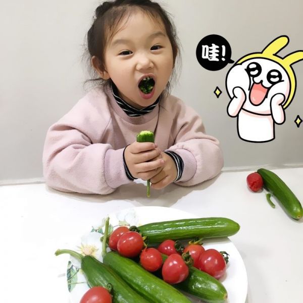 圣女果小黃瓜 小番茄新鮮蔬菜櫻桃小西紅柿水果小黃瓜