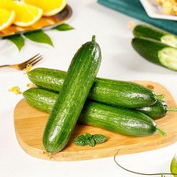 京地達(dá) 山東水果小黃瓜青瓜新鮮水果蔬菜健康輕食 嚴(yán)選3斤裝
