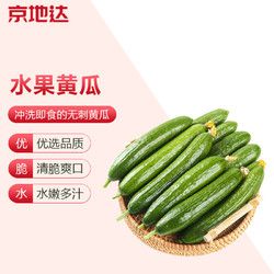 村盼 山東水果小黃瓜青瓜新鮮水果蔬菜健康輕食 精選5斤裝