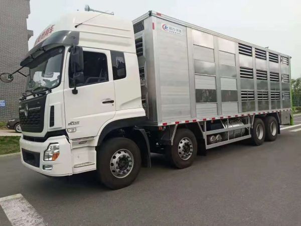 廣州小型疫苗冷鏈車