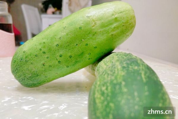 黄瓜怎么冻