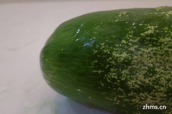 黄瓜怎么冻